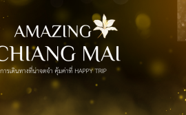 Happytrip VIP 399-