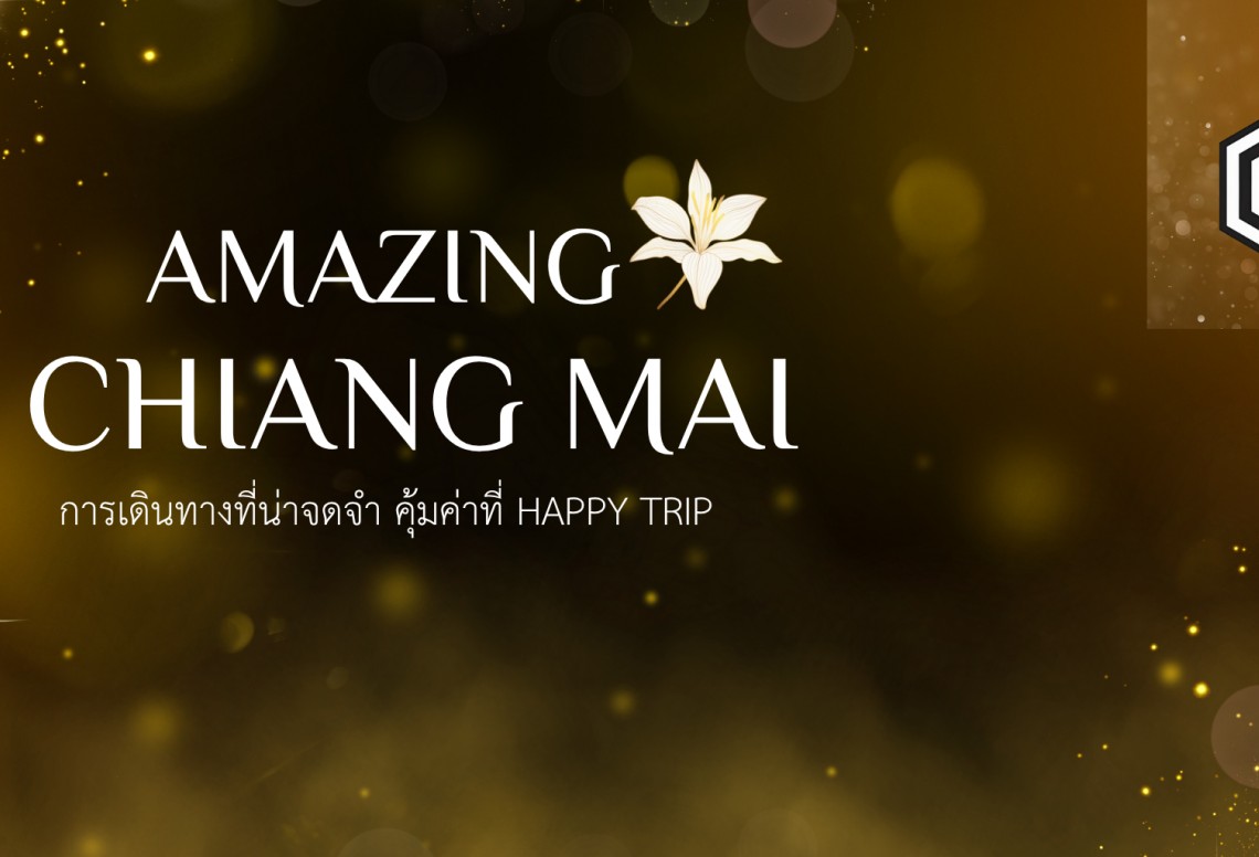 Happytrip VIP 399-